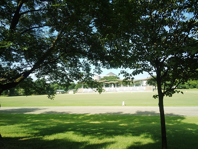 壬生町総合公園お散歩 栃木街道どうぶつ病院 柴犬るい さくらといつもいっしょ